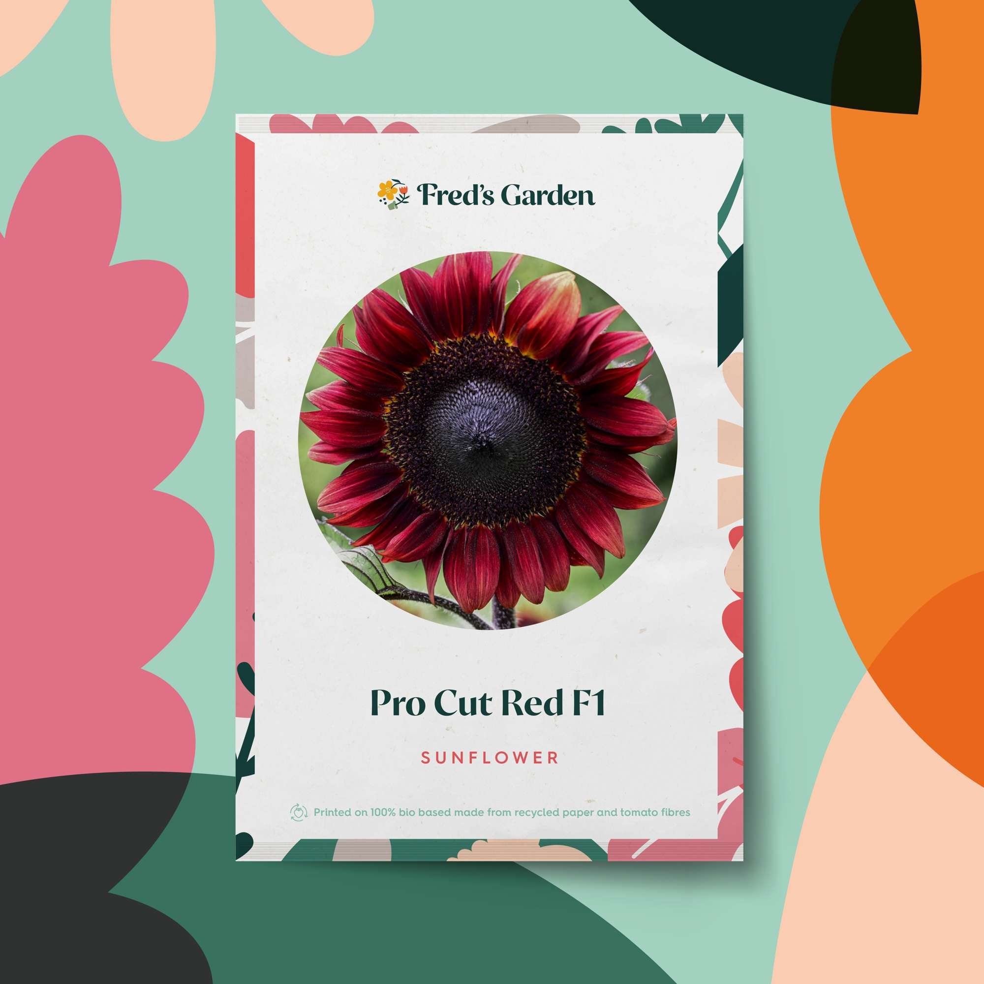 Solros 'ProCut Red F1' (frö)